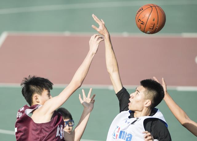 国产91小视频在线观看