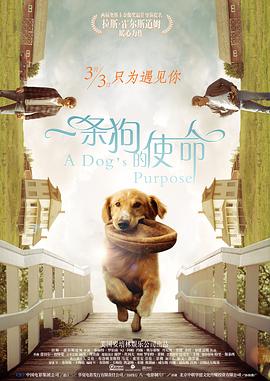 亚洲精品视频在线观看免费