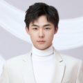 a级精品九九九大片免费看