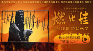 久久精品视频国产