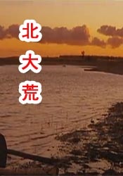 裸体女人视频