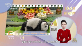 亚洲国产中文在线